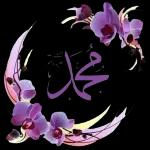 Einmal dieRegelndurchlesen undbestätigen (6)