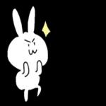 cutie rabbit