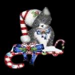 Joyeux Noël🎄🎄🎄