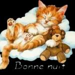 Bonne nuit