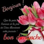 Bonjour !Que la paix,l'amour et la joiede Dieu illuminentcette journée !bond dimanche