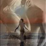 je t'embrasse partout