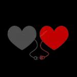 A Good Night My Love