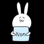 cutie rabbit