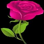 صباح الخير صباح "M.R الخير