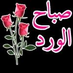 الزعيق انجذب مزبوط