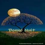 Bonne nuit bisous