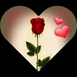 autocollants recommandés