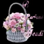 BONJOUR.
w