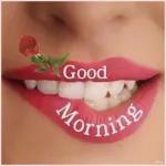 je t'aime trois mille fois