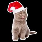 BON REVEILLON ET JOYEUX NOEL Bisons