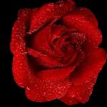 MERCI ! D'être dans ma vie !!!