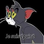 Tom et Jerry 1