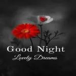 Good Night
Lovely Dreams