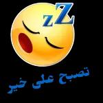 تدمر في عاية الله وحفظة