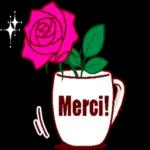 Merci fleur