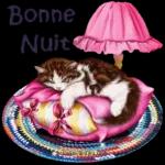 Bonne nuil Doux rêves
