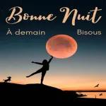 Bonne nuit bisous