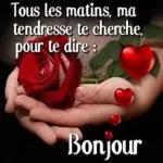 biosu bisou