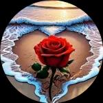 good night