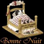 Bonne
nuit !