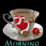 في أمان الله