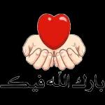 سون بارك الله فيك