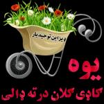 دیزاین توحیدیار یوه کاری کلان درته ډالی