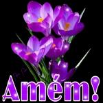 Boa noite