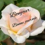 Bonjour bisous💋