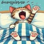 Passez un beau mercredi 9.9 Bonne journée