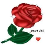hot stickers