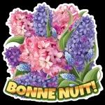BONNE NUIT!