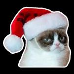 QUE DIRE? QUE FAIRE ?!? SOUHAITER JOYEUX NOEL EN CE MOMENT POURRAIT PASSER POUR DE LA PROVOC... SEIGNEUR AIDEZ MOI...