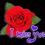 t'es plus belle que les roses🌹🌹