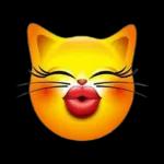 Good Morning
My Love