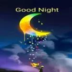 bonne nuit