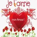 11.06autocollants recommandés