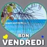 Bonne nuit et
que les anges
veillent sur toi !!