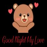 A Good Night My Love