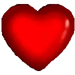 صباح الورد عطركم جميل مساء الجنة