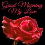 Bon jour
Bon Dimanche