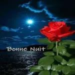Bonne Nuit