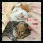 bonne nuit