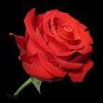 a vous tous, un grand Merci!