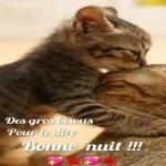 Bonne nuit bisous