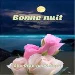 Bonne nuit