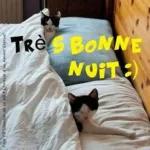 Très belle Soirée
Douce Nuit
bye bye
Gros
bisous
A demain
AGE FR/HUL
ER MULAONHEUR
Page fb/Jolies Images du Bonheurs