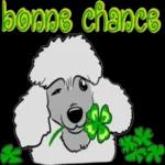 bonne chance