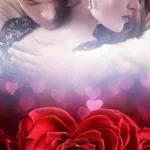 je t'embrasse partout